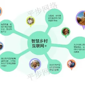 购买数字村务推荐厂家 信息推荐 苏州平步网络科技供应