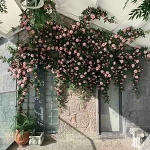 ����Ƶ�廨����Ƶ�����̻� ����Ƶ�԰����� ����칫¥�̻� ����ٻ�������������
