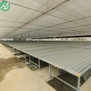 5Gʱ�������ù⡢�硢���ؼ������ߴ��似��֮���Ҵ��ﻨ���紲���紲