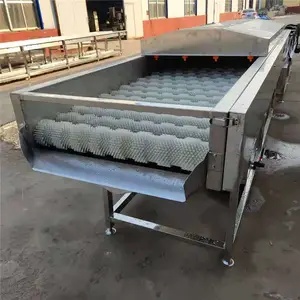 景翔牌毛辊脱皮机 根茎类清洗机 羊蹄毛刷清洗机厂家直销