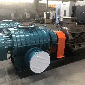 便携式小型罗茨风机 发酵气力搅拌行业 型号TBSR50 支持按需定做