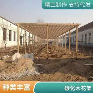 ����ľ�ȼ� ͥԺ¶�컨�� ������Ԯֲ������������