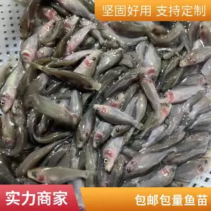 �̻������� ʳ�õ��������� �ɻ�***�ɻ��������ֻ�����