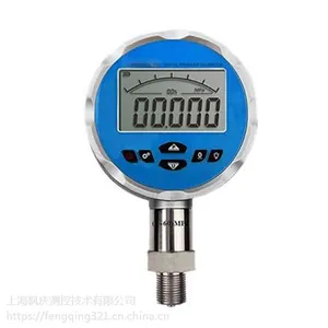 TP3083数字式压力表