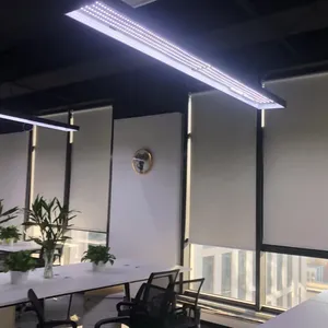 �����嶩�����������崰���������ʴ���