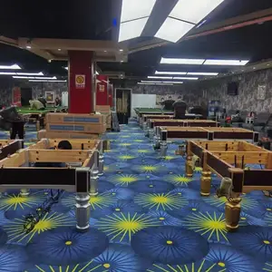 台球厅专用阻燃地毯 源头工厂销售 可定制15天出货