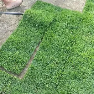 ��������ƺ�� ��������Ľ��첥 �����Ž�԰���̻��õĲ�ƺ���ۼ۸� ����Ǯһ��
