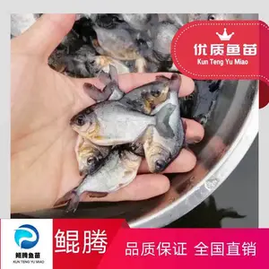 ��ѡ��ˮ�������� �������� ����ˮ��
