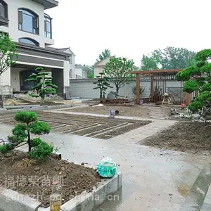 苏州别墅豪宅高端绿化 别墅庭院***绿化设计 苏州园林绿化景观工程公司