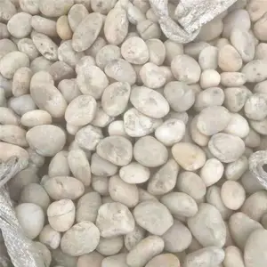 山东鹅卵石滤料 白色鹅卵石 黑色鹅卵石 彩色鹅卵石供应