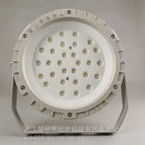 LED������GB206-L50 ����LED���ܵ� ��ˮ��������LED��