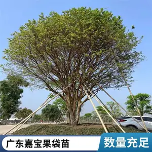 �α�������۸� �����α��� �α�������