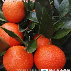���ͺ������ľ �������˹�˾����������