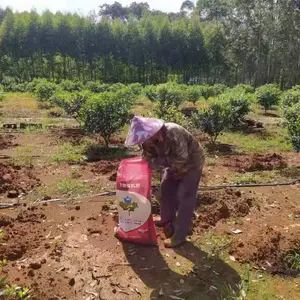 小麦花生微生物菌剂,生根壮根抗重茬还可抗病增产