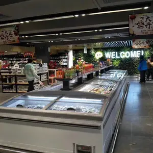 三盾冷链松下湖南长沙水饺柜雪糕柜冷冻展示柜