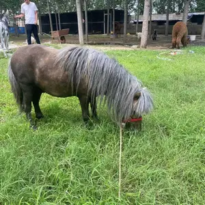 ���� ���Ͱ���