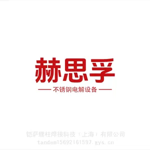 电化学不锈钢清洗机 不锈钢焊缝清洗机 不锈钢焊道清洗机 赫思孚FC1120