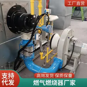 岱鼎燃烧水套炉废酸焚烧炉转炉煤气天然气烧嘴燃烧系统源头厂家
