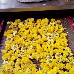 供应菊花微波干燥杀青机连续(式)