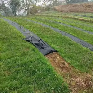 恒达布业防止土质损坏-生态盖草布厂家-永州生态盖草布