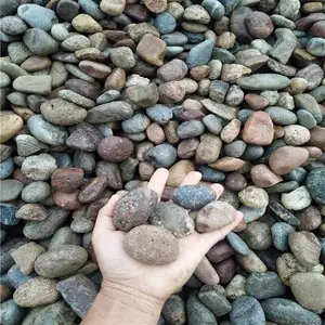 ��ѹ������ʯǮһ�� ʯ��ׯ��˳��ѹ������ʯ����