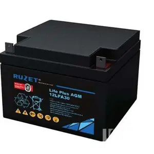 法国路盛12LPA30电池 消防机柜备电源/UPS不间断用12V-30AH蓄电池