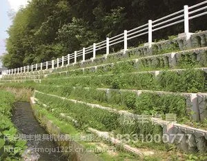 �ɷ���ʽ��̬����ģ���ص���ʽ��̬����ʩ���ص�