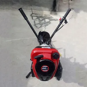 ��������ľ�����ڿӻ� ����ʩ����״��ۻ� ԰��ֲ������ʽ�ڿӻ�
