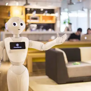 pepper智能人形机器人