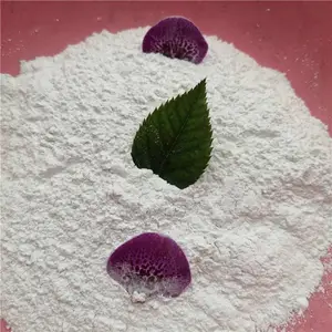 200目石英粉价格 永顺高纯度石英粉厂家 白度高 含硅量高