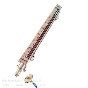 侧装式磁翻柱液位计 磁浮子翻板液位计 低温型防霜型伴热夹套型