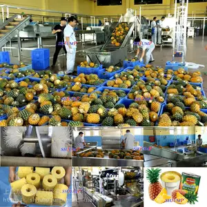菠萝榨汁生产线 菠萝罐头加工产线 菠萝果酱加工设备