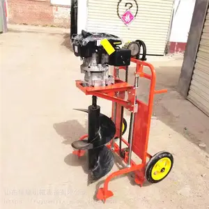 �����ӻ� ֲ���ڿӻ� ԰��ֲ����ӻ�