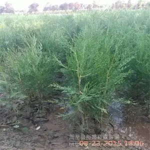 �ٷ������� ��ڷ������� ����ũ����ֲ����