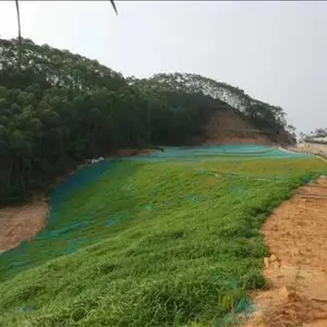 河北常青公路边坡草种专卖店批发刺槐草种籽