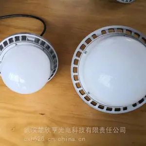 森本智亮LED智能防眩泛光灯 BG-GDF9131-50W 座式杆套式