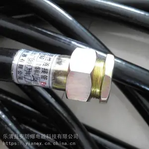 304BNG系列防爆挠性连接管 橡胶软管两端内丝接线管