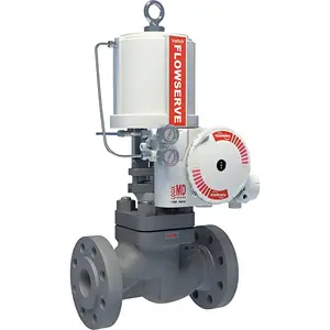 ����FLOWSERVEִ����