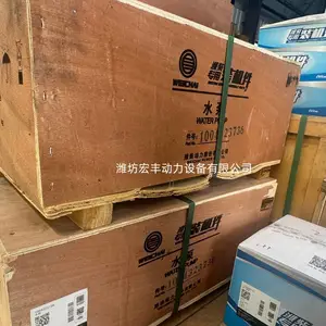 潍柴配件水泵1004323736 发动机配件