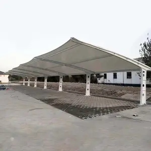 ���������ס�С�γ�����Ĥͣ���� ï������