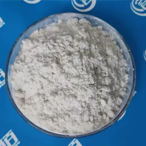 �������ž��� ���嵪�����ž� BN���žۺϷ���