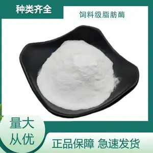 ���ϼ�֬��ø ��������֬�ٽ���������ø�Ƽ� 