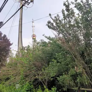 ���۰�װװ���� 30��31��32��33��34��35��Ч��ͼ���
