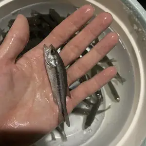 ����ˮ��������������̬������ѡƷ��ȫ������ȫ�����ļ���֧�ֱ���