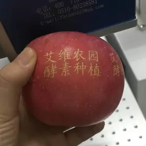 ��Ӧ��������ƻ�����Ӽ��������Ƥ���ֶ�����̼������ֻ�