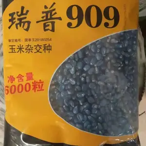 瑞普909国审玉20180254山西三联现代种业
