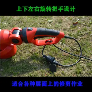 ���ʽ��֦ ���ʽ��֦�� ����԰����֦�� ��֦�޼����������