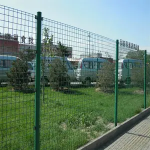 ����Y�����令���� ӭ����ɫ������˿�� Ȧ�ظ���Χ����