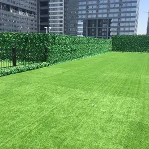 �Ϻ���������ƺ��̺ ��԰�̻��ٲ�Ƥ �����˹����ϲ�ƺ �ɰ�װ