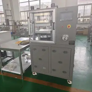 实验室双层平板硫化仪 橡胶塑料热压机 电加热硫化实验设备